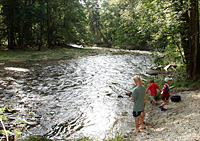 Ilz im Bayerischen Wald